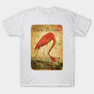 The Flamingo - Vintage French Postcard T-Shirt